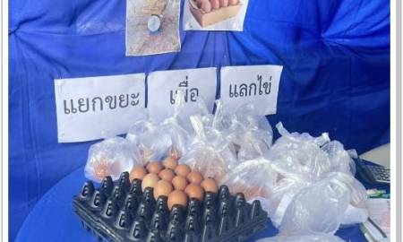กิจกรรม 