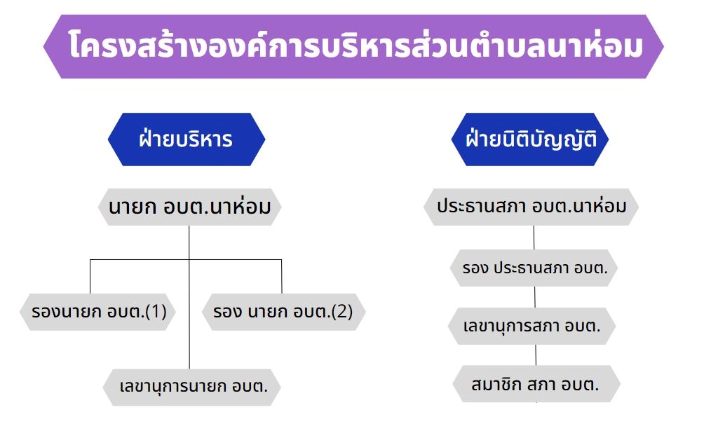 โครงสร้างผู้บริหาร